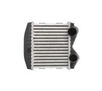 Intercooler THERMOTEC DAM012TT