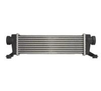 Thermotec Intercooler DAM023TT