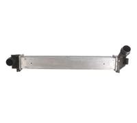 Intercooler THERMOTEC DAR011TT