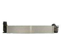 Thermotec Intercooler DAR021TT