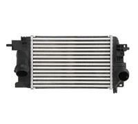 Intercooler THERMOTEC DAX017TT