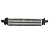 Intercooler THERMOTEC DAX022TT