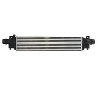 Intercooler THERMOTEC DAX022TT