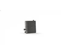 Radiateur de chauffage Grille de radiateur soudée AH 343 000S MAHLE