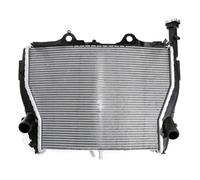 Radiateur de Moto pour BMW S1000RR 2009-2018 HP4 Race 2018