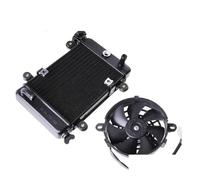 Radiateur de refroidissement à eau adapté for Bashan 200-7 250cc 200cc, pièces de Buggy électrique ATV UTV Go Kart(Fan)