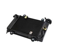 Radiateur de réservoir de refroidissement par eau adapté for Bashan 200-7 250cc 200cc, pièces de Buggy électrique ATV UTV Go Kart