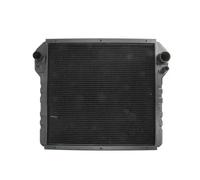 THERMOTEC D7AG191TT Radiateur du moteur