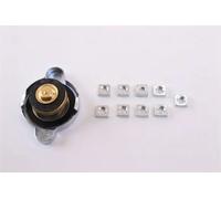 Radiateur, refroidissement moteur NISSENS 62895A