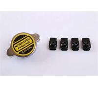 Radiateur d'eau Grille de radiateur soudée 66624 NISSENS pour KIA