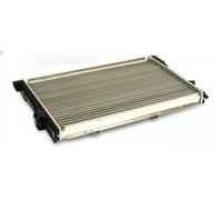 MAXGEAR AC219871 Radiateur du moteur
