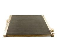 Radiateur d'eau Grille de radiateur soudée AC230191 MAXGEAR pour BMW X5