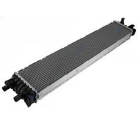 Radiateur d'eau Grille de radiateur soudée CCH-AU-016 NTY