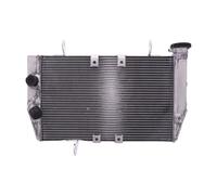 Radiateur D'Eau JMP TRS-R-711 Pour Ducati MULTISTRADA 950 SW 2018-2021