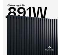 Radiateur Delgado | Design moderne | 63 x 100 cm | 891 W | Raccord latéral
