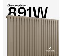 Radiateur Delgado | Design moderne | 63 x 100 cm | 891 W | Raccord latéral