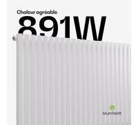 Radiateur Delgado | Design moderne | 63 x 100 cm | 891 W | Raccord latéral