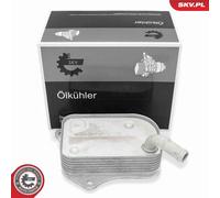 Radiateur D'Huile, Huile Moteur Pour AUDI VW A4 A6 PASSAT