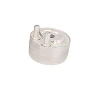 Thermotec Radiateur d'huile D41002TT pour NISSAN PATHFINDER III (R51) et CABSTAR (F24M/F24W) 2.5