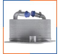 Radiateur d'huile moteur pour ALFA ROMEO | 95255, 590255