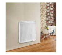 Radiateur eau chaude Acier Blanc Type 22 IHC Chauffage central DE DIETRICH Dimension - T22 IHC L50xH70 958W