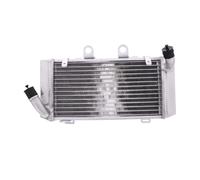 Radiateur Eau JMP 2019040105 Gauche Pour Honda 1000 XLV VARADERO 1999-2006