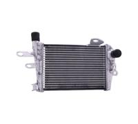 Radiateur Eau JMP TRS-R-642 Gauche Pour BMW R 1250 GS TE ABS 2020-2020