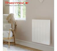 Thermor Radiateur à inertie Kenya 4 2000 Watts Horizontal