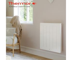 Radiateur électrique à inertie KENYA 4 Horizontal 750W - THERMOR 414717
