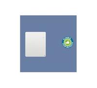 Radiateur électrique Etic Compact - Blanc - Horizontal - 750W