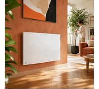 Radiateur électrique fixe à inertie sèche fonte - BESTHERM - BIA 2000W - horizontal blanc
