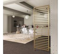 Radiateur electrique vertical ACOVA KADRANE INOX 500W - TKAI-050-050/GF