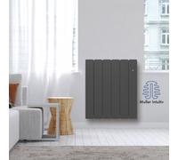 Radiateur Fonte NOIROT BELADOO 1000W horizontal gris anthracite connecté NEN1683SEHS