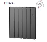 Radiateur Fonte NOIROT BELADOO Nativ 1000W Anthracite connecté INTUIS M153123