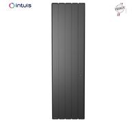 Radiateur Fonte NOIROT BELADOO Nativ 1000W Vertical gris anthracite connecté INTUIS M153223