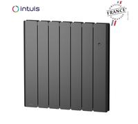 Radiateur Fonte NOIROT BELADOO Nativ 1250W Anthracite connecté INTUIS M153124