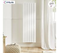 Radiateur Fonte NOIROT BELADOO Nativ 2000W Vertical blanc connecté INTUIS M153217