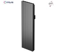 Radiateur Fonte NOIROT BELADOO Nativ 2000W Vertical gris anthracite connecté INTUIS M153227