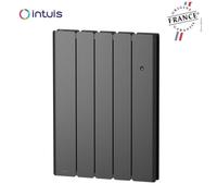 Radiateur Fonte NOIROT BELADOO Nativ 750W Anthracite connecté INTUIS M153122