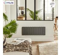 Radiateur Fonte NOIROT BELADOO Nativ 750W Bas Anthracite connecté INTUIS M153322