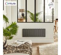 Radiateur Fonte NOIROT BELADOO Nativ Plinthe 1000W Anthracite connecté INTUIS M153423