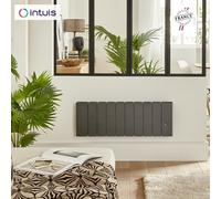 Radiateur Fonte NOIROT BELADOO Nativ Plinthe 1500W Anthracite connecté INTUIS M153425