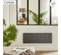 Radiateur Fonte NOIROT BELADOO Nativ Plinthe 750W gris anthracite connecté INTUIS M153422