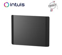 Radiateur Fonte NOIROT CALIDOO Nativ 1250W anthracite connecté INTUIS M152124
