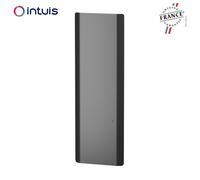 Radiateur Fonte NOIROT CALIDOO Nativ Vertical 2000W anthracite connecté INTUIS M152227