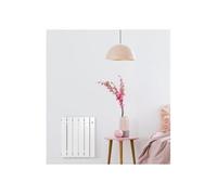 Radiateur FSC 2 - Horizontal - 500W - Blanc