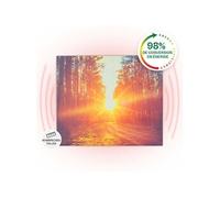 Radiateur Infrarouge Mural Wonderwall Air Art Infinite 60x50 cm 300W