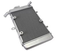 Radiateur TNT Pour Yamaha X-Max 125 2018-19 - 300 2017-20 Tricity 300 2020-22