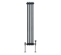 Radiateur Traditionnel à 2 Colonnes Chauffage Vertical Anthracite 1500 x 202mm Gris G