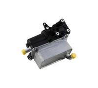 Radiateur Moteur Pour Mercedes Pour Benz A220 CLA250 CLA35 CLA45 GLA250 W176 W242 W246 2465010101 2465010501 Ensemble Refroidisseur D'huile Moteur